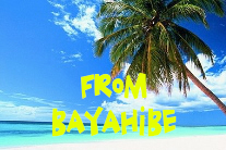 Tours from Bayahibe